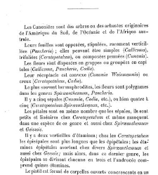 Annales des sciences naturelles. Botanique(1890) document 176945