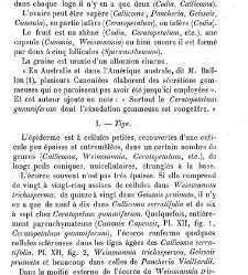 Annales des sciences naturelles. Botanique(1890) document 176946
