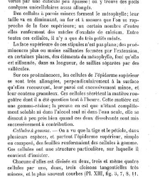 Annales des sciences naturelles. Botanique(1890) document 176954