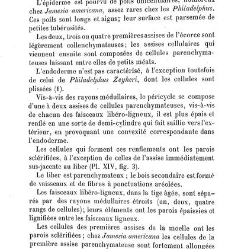 Annales des sciences naturelles. Botanique(1890) document 176959