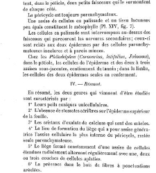 Annales des sciences naturelles. Botanique(1890) document 176961