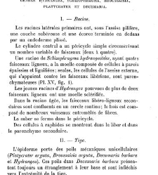Annales des sciences naturelles. Botanique(1890) document 176962