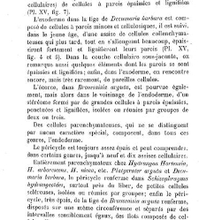Annales des sciences naturelles. Botanique(1890) document 176963