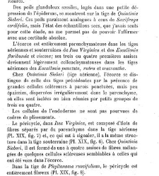Annales des sciences naturelles. Botanique(1890) document 176990