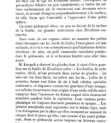 Annales des sciences naturelles. Botanique(1890) document 176995