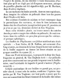 Annales des sciences naturelles. Botanique(1890) document 176996
