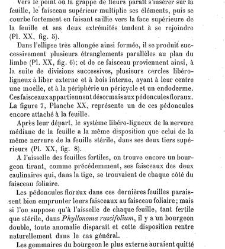 Annales des sciences naturelles. Botanique(1890) document 176998