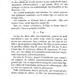 Annales des sciences naturelles. Botanique(1890) document 177001