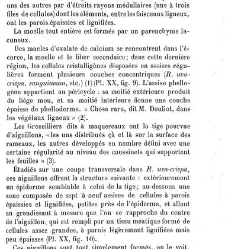 Annales des sciences naturelles. Botanique(1890) document 177002