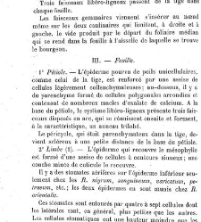 Annales des sciences naturelles. Botanique(1890) document 177003