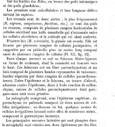 Annales des sciences naturelles. Botanique(1890) document 177004