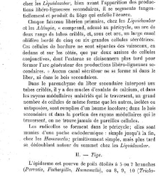 Annales des sciences naturelles. Botanique(1890) document 177007