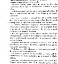 Annales des sciences naturelles. Botanique(1890) document 177009