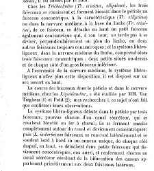 Annales des sciences naturelles. Botanique(1890) document 177011