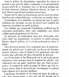 Annales des sciences naturelles. Botanique(1890) document 177012