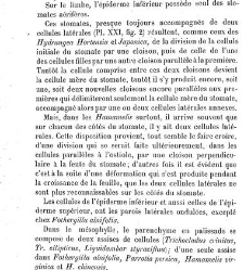 Annales des sciences naturelles. Botanique(1890) document 177013
