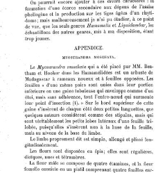 Annales des sciences naturelles. Botanique(1890) document 177015