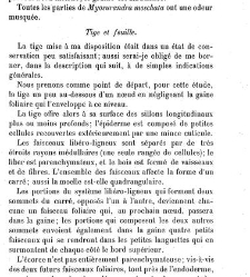 Annales des sciences naturelles. Botanique(1890) document 177016