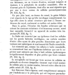 Annales des sciences naturelles. Botanique(1890) document 177017