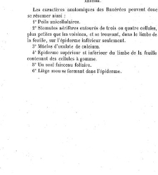 Annales des sciences naturelles. Botanique(1890) document 177027