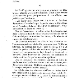 Annales des sciences naturelles. Botanique(1890) document 177031