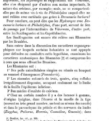 Annales des sciences naturelles. Botanique(1890) document 177034