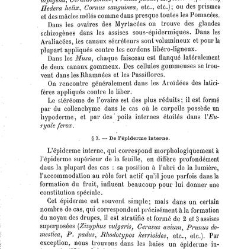 Annales des sciences naturelles. Botanique(1890) document 177061