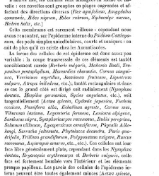 Annales des sciences naturelles. Botanique(1890) document 177062