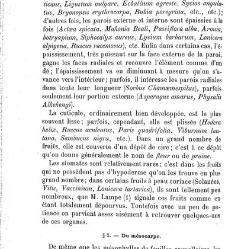 Annales des sciences naturelles. Botanique(1890) document 177065