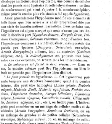 Annales des sciences naturelles. Botanique(1890) document 177066