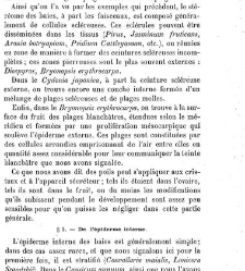 Annales des sciences naturelles. Botanique(1890) document 177068