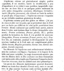 Annales des sciences naturelles. Botanique(1890) document 177070