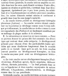 Annales des sciences naturelles. Botanique(1890) document 177080