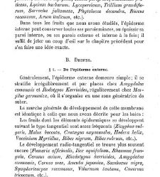 Annales des sciences naturelles. Botanique(1890) document 177086