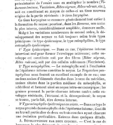Annales des sciences naturelles. Botanique(1890) document 177091