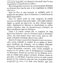 Annales des sciences naturelles. Botanique(1890) document 177093