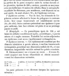Annales des sciences naturelles. Botanique(1890) document 177098
