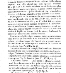 Annales des sciences naturelles. Botanique(1890) document 177101