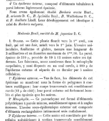 Annales des sciences naturelles. Botanique(1890) document 177102