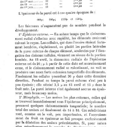 Annales des sciences naturelles. Botanique(1890) document 177103