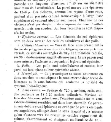Annales des sciences naturelles. Botanique(1890) document 177105
