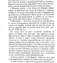 Annales des sciences naturelles. Botanique(1890) document 177113