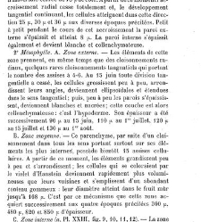 Annales des sciences naturelles. Botanique(1890) document 177122