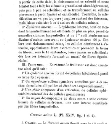 Annales des sciences naturelles. Botanique(1890) document 177127