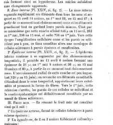 Annales des sciences naturelles. Botanique(1890) document 177130