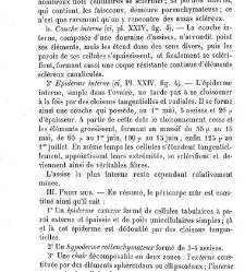 Annales des sciences naturelles. Botanique(1890) document 177137