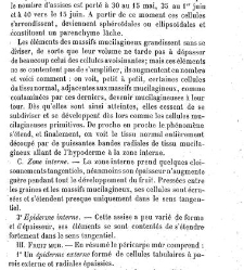 Annales des sciences naturelles. Botanique(1890) document 177144