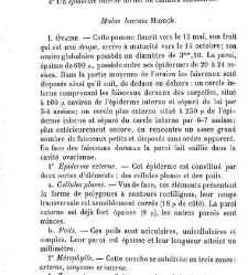 Annales des sciences naturelles. Botanique(1890) document 177145