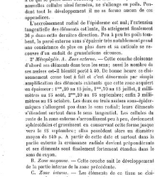 Annales des sciences naturelles. Botanique(1890) document 177147