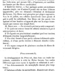 Annales des sciences naturelles. Botanique(1890) document 177148